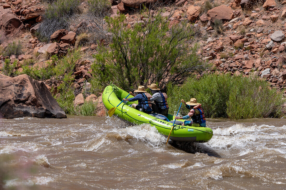 Paddler in einem kleinen Floß in White's Rapid auf dem Colorado River bei Moab, Utah