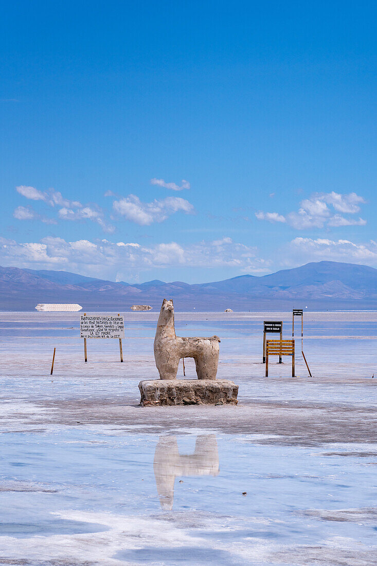 A statue of a llama carved from salt at the Salinas Grandes salt flats on the altiplano in northwest Argentina.