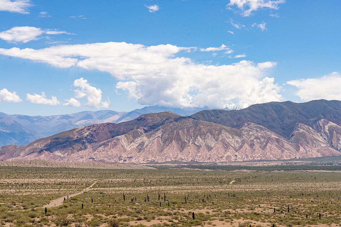 Cerro Tin Tin im Nationalpark Los Cardones in der Provinz Salta, Argentinien, mit dem Nevado de Cachi in den Anden im Hintergrund