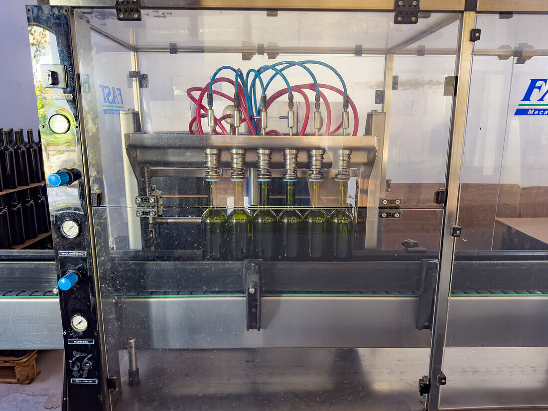 Automated wine-bottling machinery in the Bodega Nanni Winery, Cafayete, Argentina.