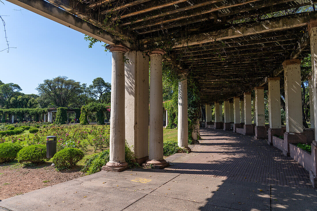 El Rosedal oder Rosengarten im Park des 9. Juli in San MIguel de Tucumán, Argentinien