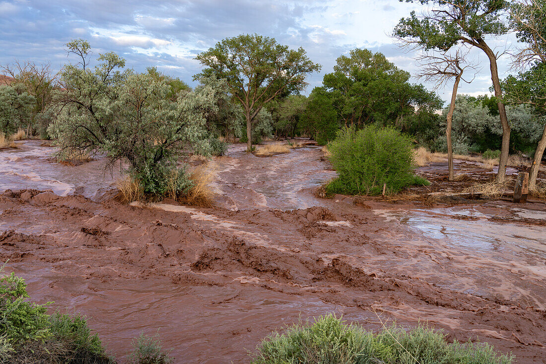 Flash flooding with waves of muddy water after a summer rain storm in Moab, Utah.