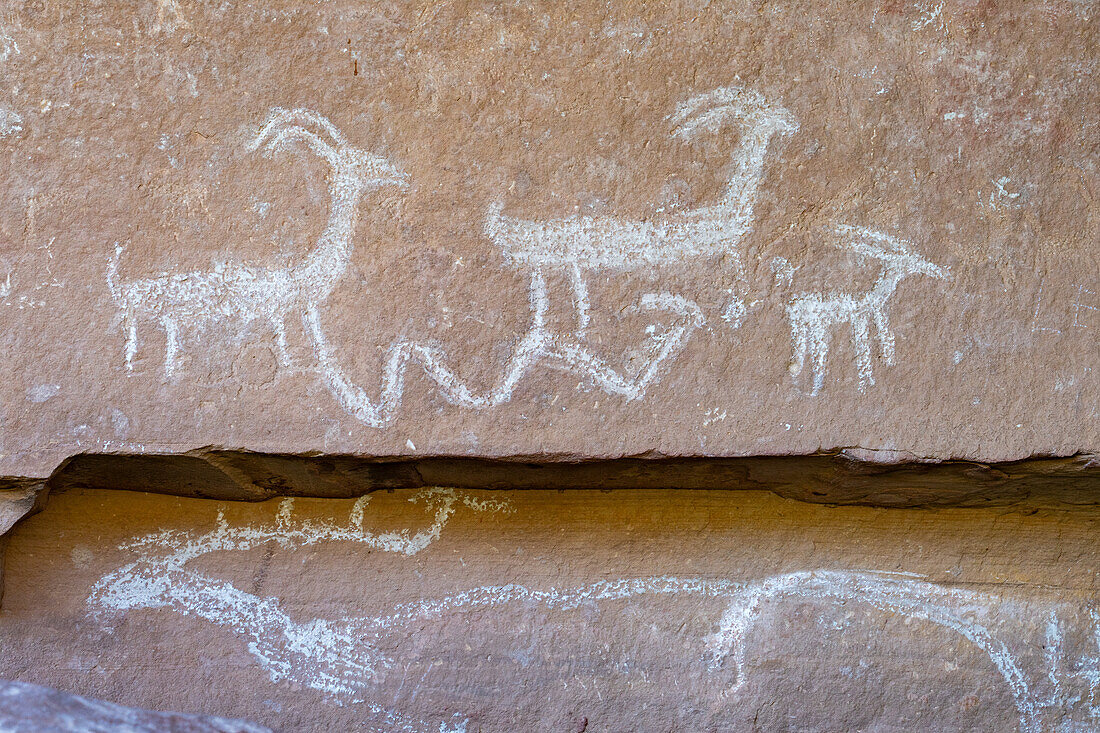 Eine Felsbildtafel der vorspanischen Fremont-Kultur der amerikanischen Ureinwohner in der Rasmussen-Höhle im Nine Mile Canyon, Utah. Dargestellt sind Dickhornschafe, eine gehörnte Schlange und ein Elch