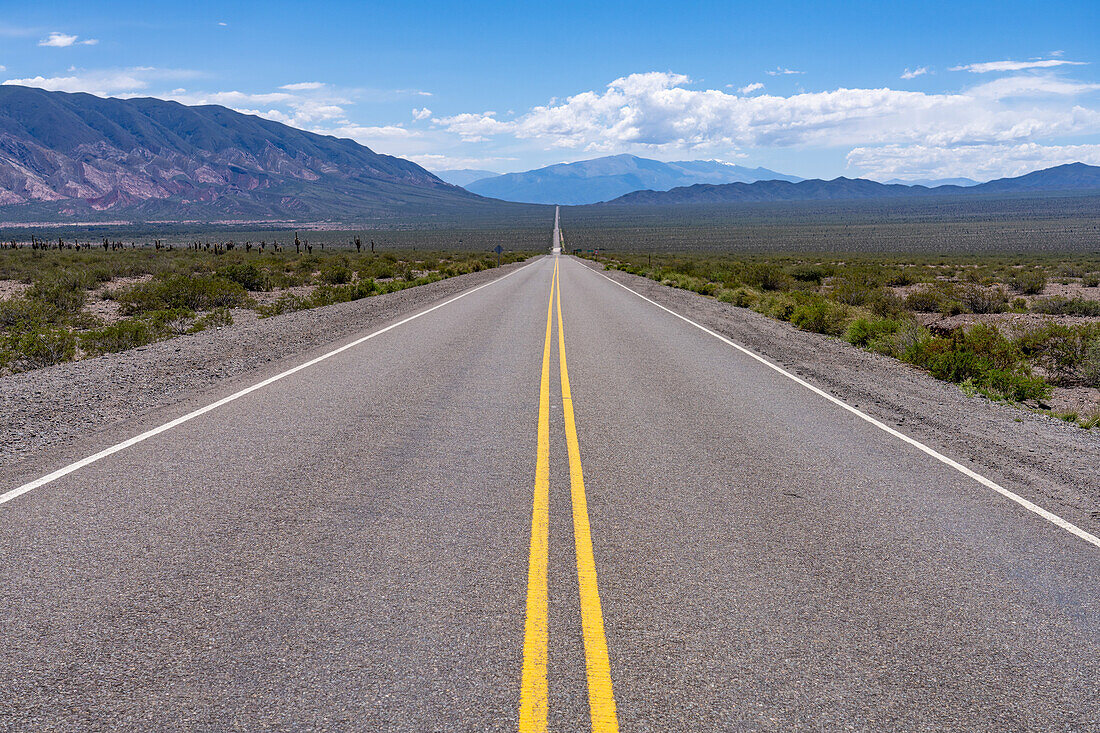 Die Recta del Tin Tin, eine lange, gerade Straße durch den Nationalpark Los Cardones in der Provinz Salta, Argentinien