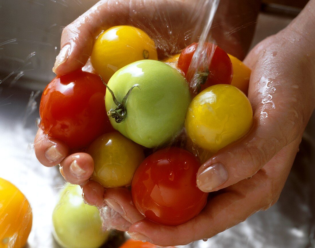 Hände halten rote,grüne,gelben Tomaten unter Wasserstrahl