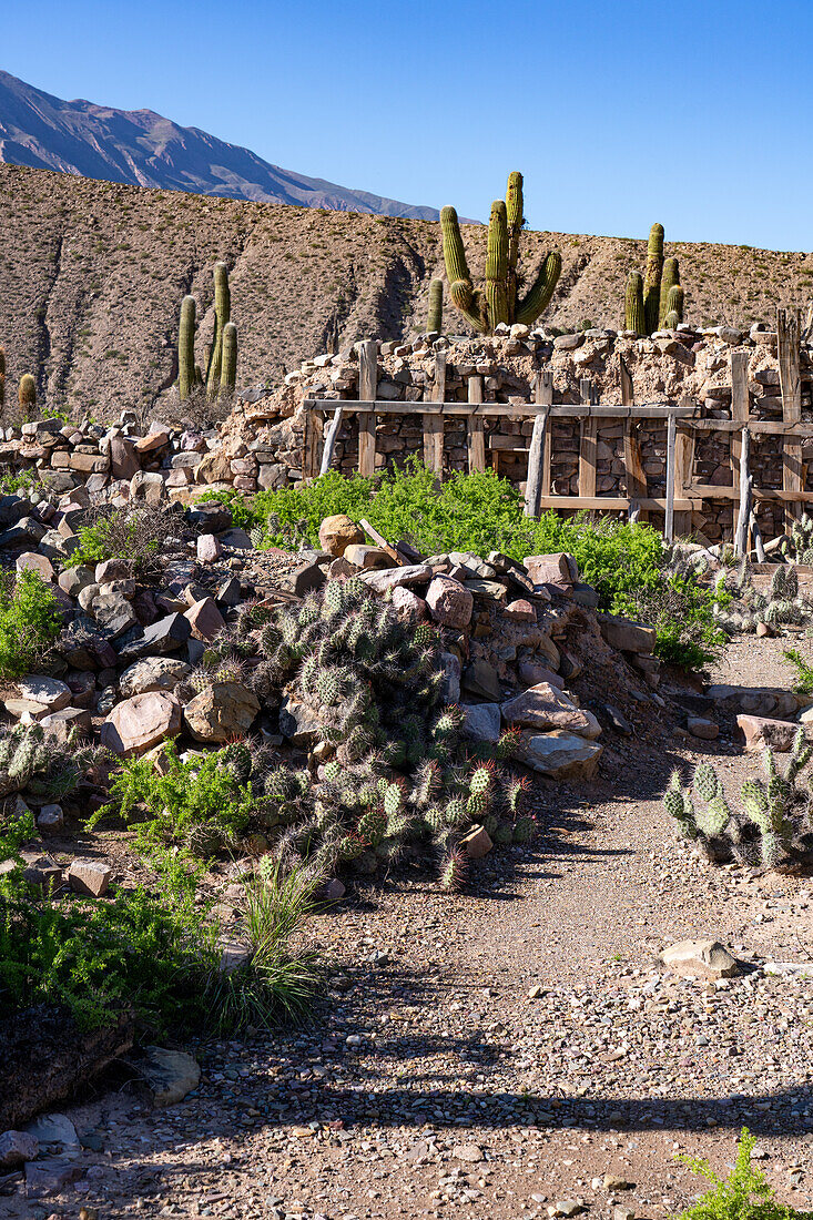 Teilweise ausgegrabene Ruinen in der Pucara von Tilcara, einer prähispanischen archäologischen Stätte in der Nähe von Tilcara, Humahuaca-Tal, Argentinien