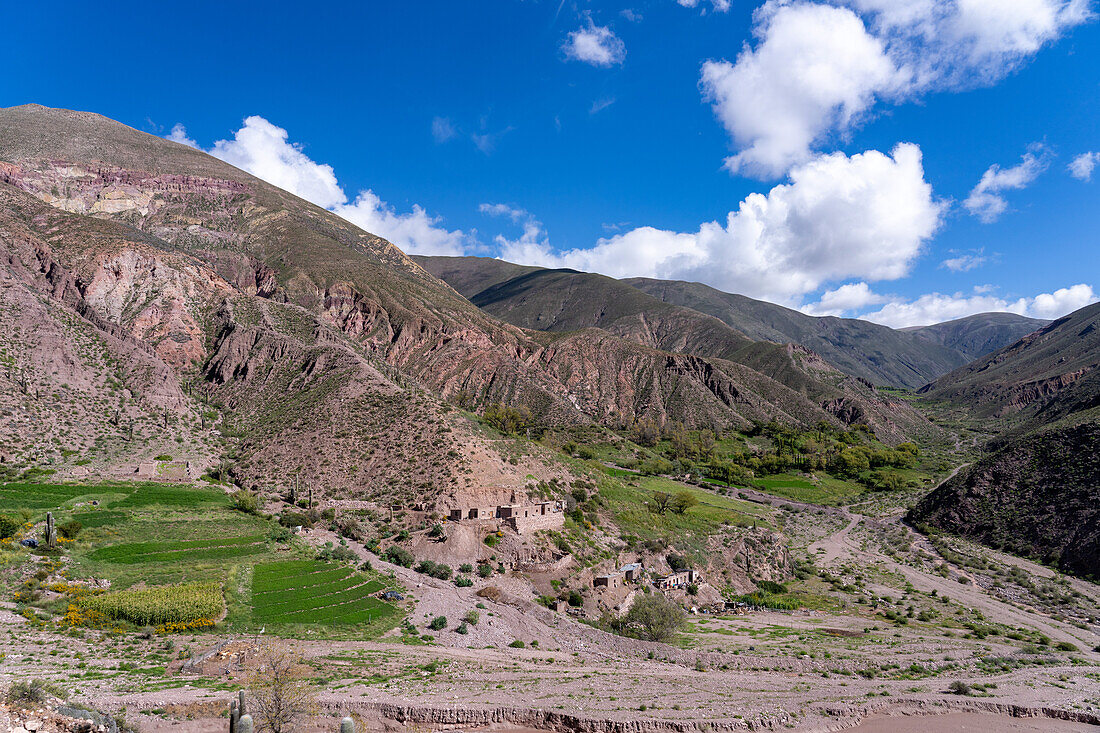 Farm fields in the eroded canyon of the Cuesta de Lipan between Purmamarca & Salinas Grande in Argentina.