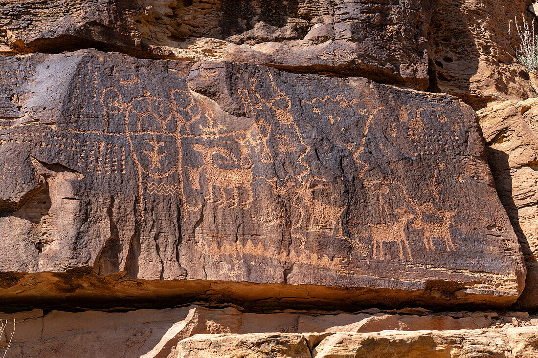 Eine prähispanische Felszeichnung der Fremont-Kultur der amerikanischen Ureinwohner im Daddy's Canyon im Nine Mile Canyon, Utah