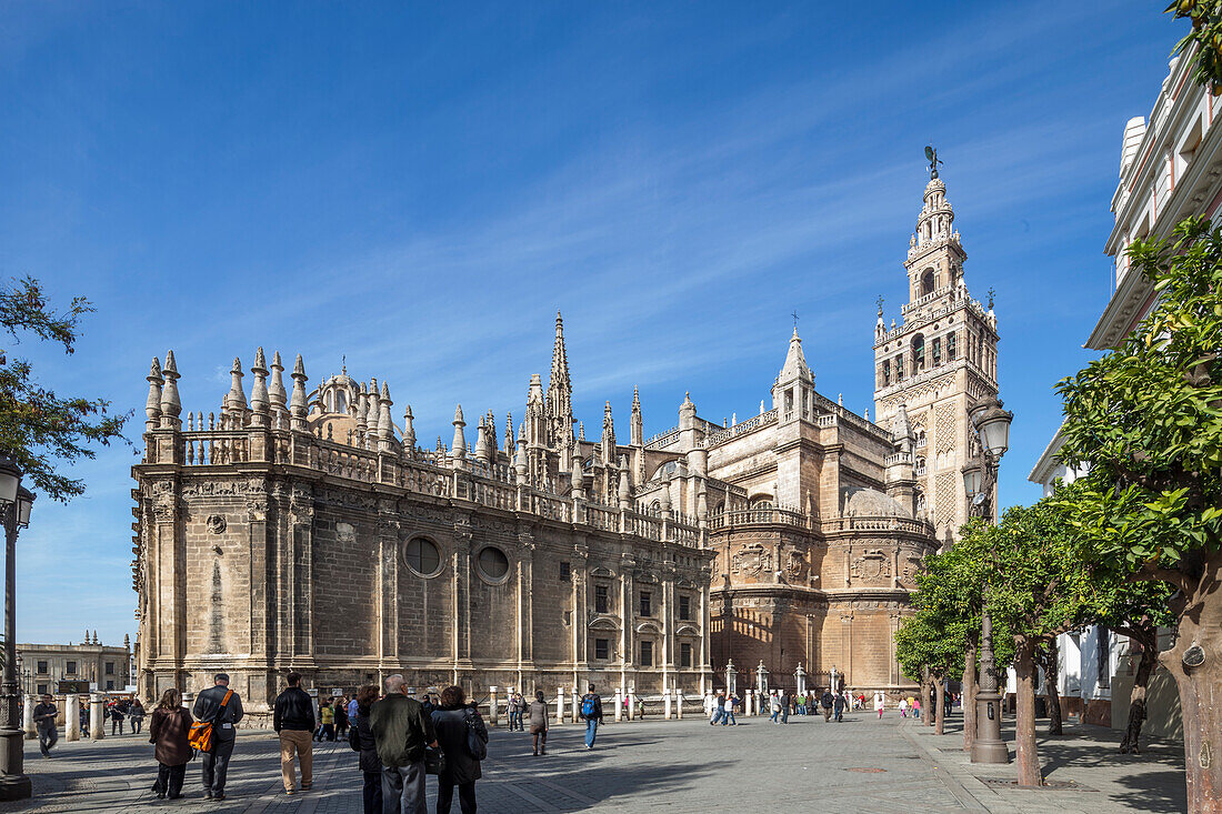 Die prächtige Kathedrale von Sevilla ist nachts beleuchtet und hebt sich mit ihrer beeindruckenden Architektur gegen den dunklen Himmel in der spanischen Region Andalusien ab