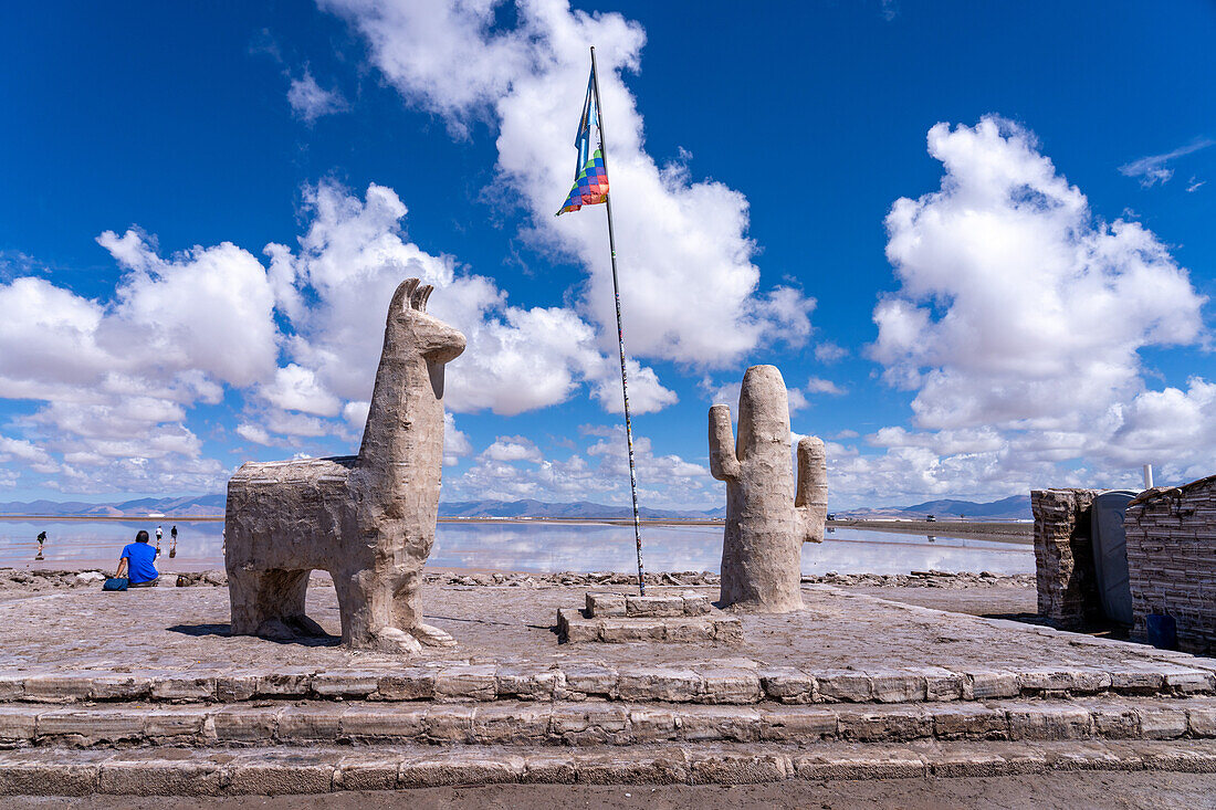 Statues of a llama & a cactus carved from salt at the Salinas Grandes salt flats on the altiplano in northwest Argentina.