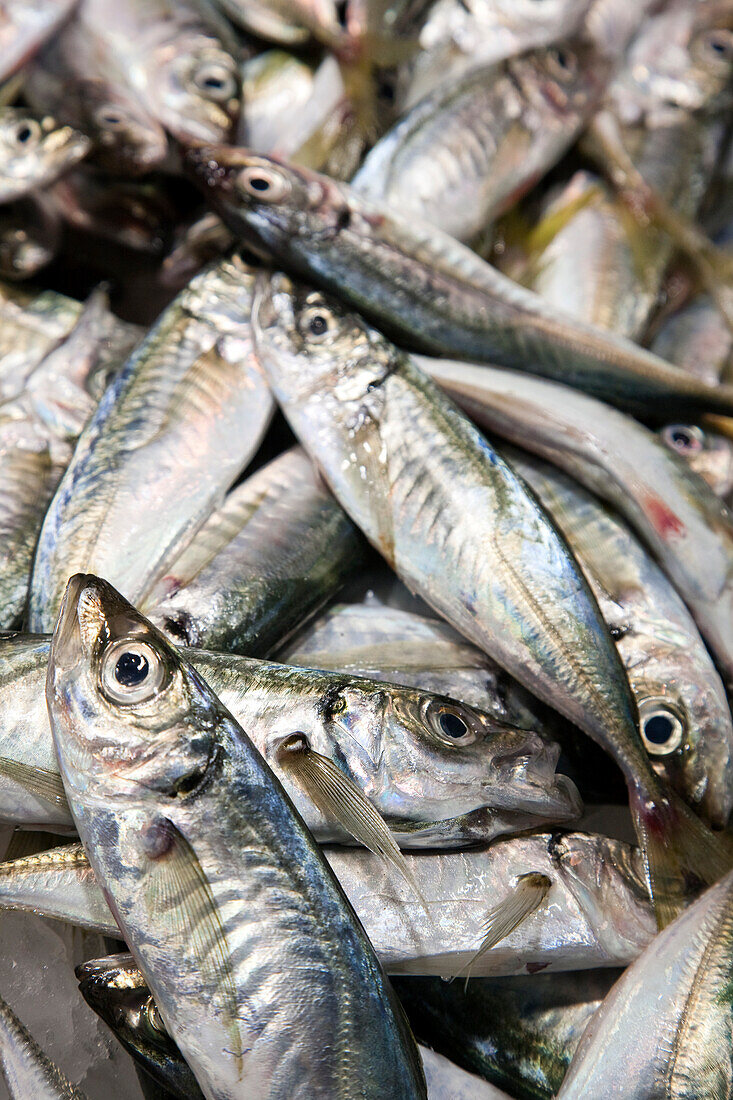 Freshly caught jureles are displayed in abundance at the bustling Mercado de la Boquería in Barcelona, attracting local shoppers.