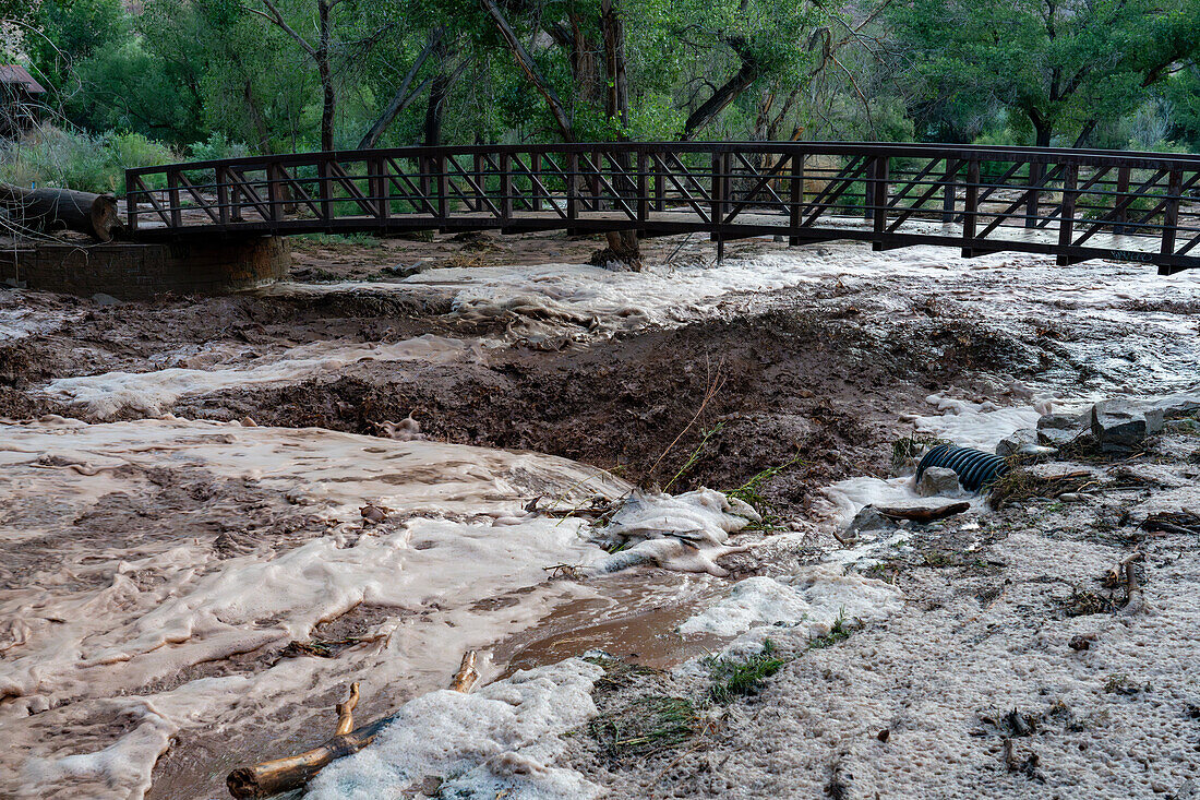 Flash flooding overflowing the banks of Mill Creek after a summer rain storm in Moab, Utah.