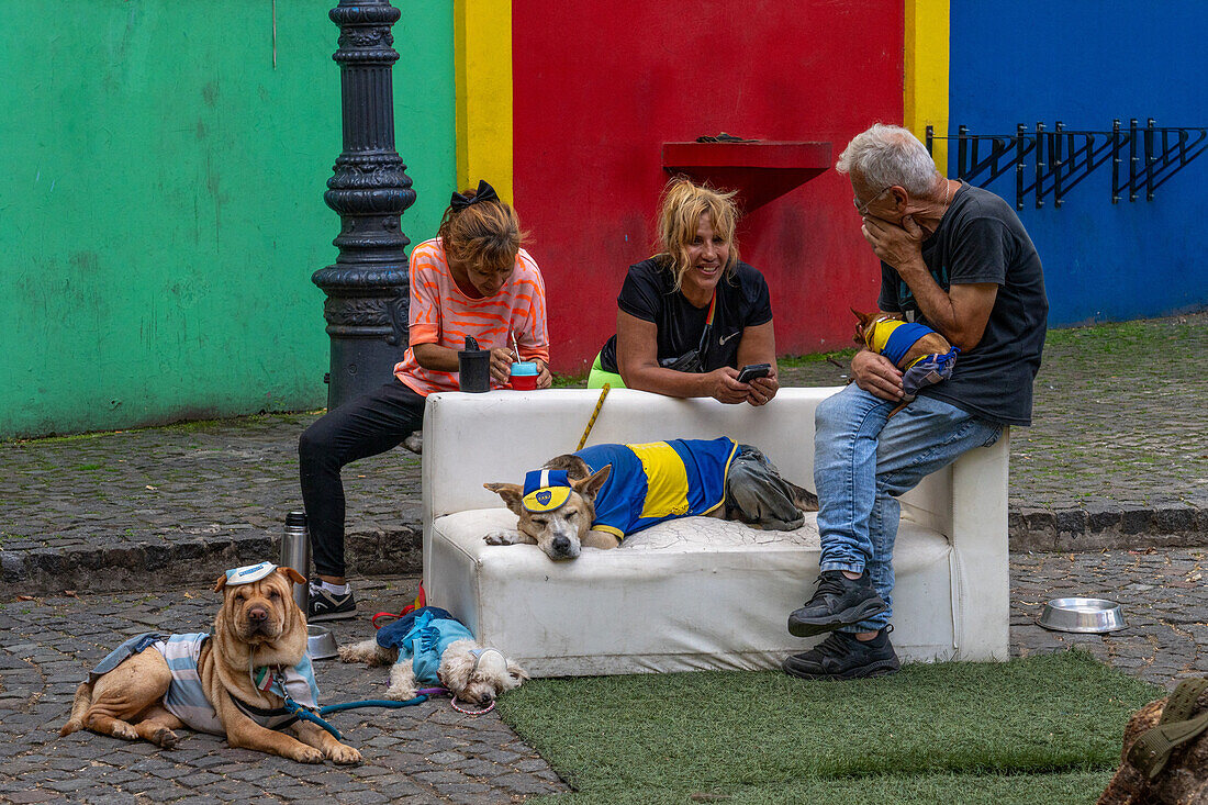 Argentine football fans sit with their dogs dressed in football jerseys uniforms on a couch in Caminito, La Boca, Buenos Aires, Argentina.