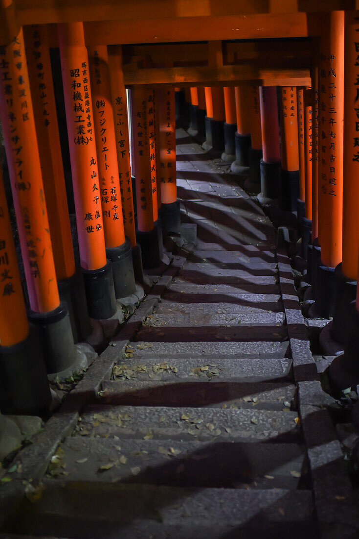 Exploring Fushimi Inari Taisha temple at night, Kyoto, Japan