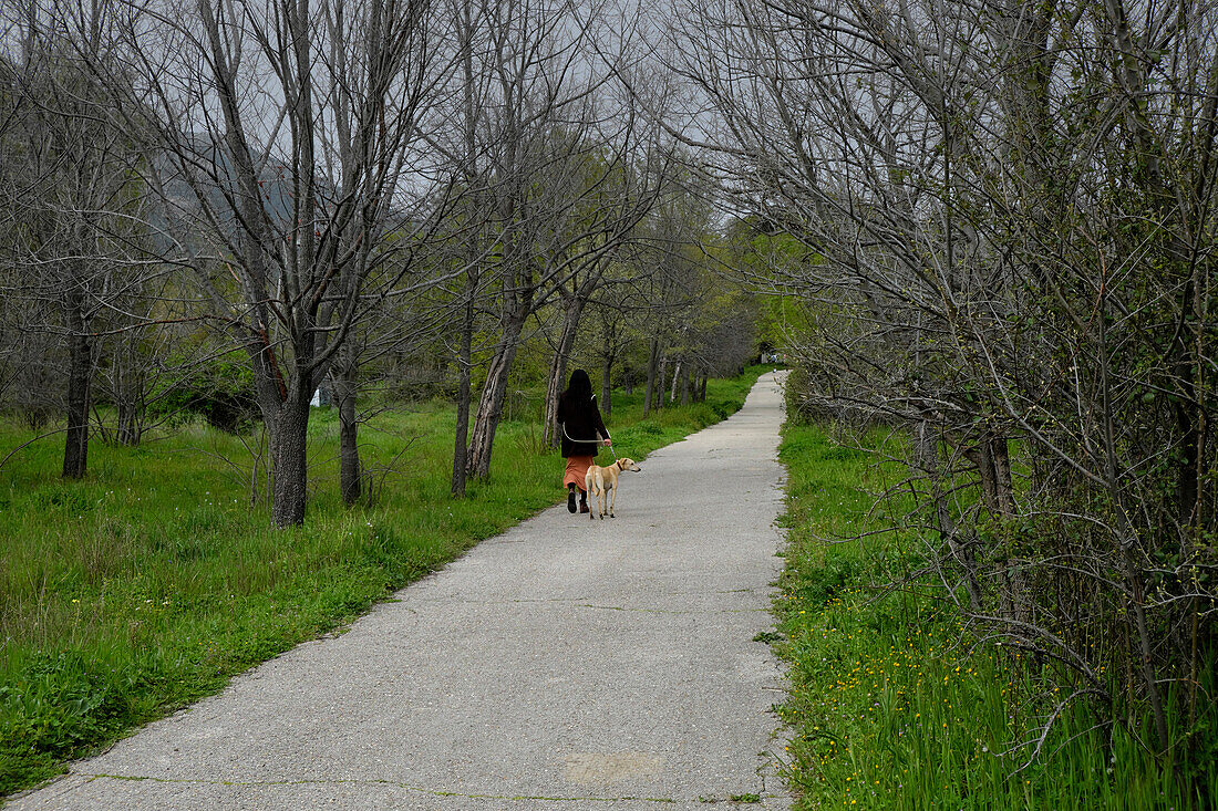 Woman and dog in a promenade of La Herrería forest. San Lorenzo de El Escorial, Community of Madrid.