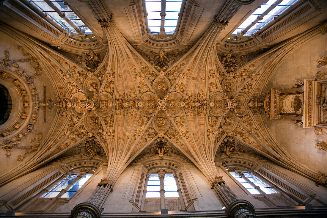 Leon, Spain, Aug 21 2008, Marvel at the intricate starlit vault in the sacristy of San Marcos Church located in León, Spain, showcasing stunning Gothic architecture.