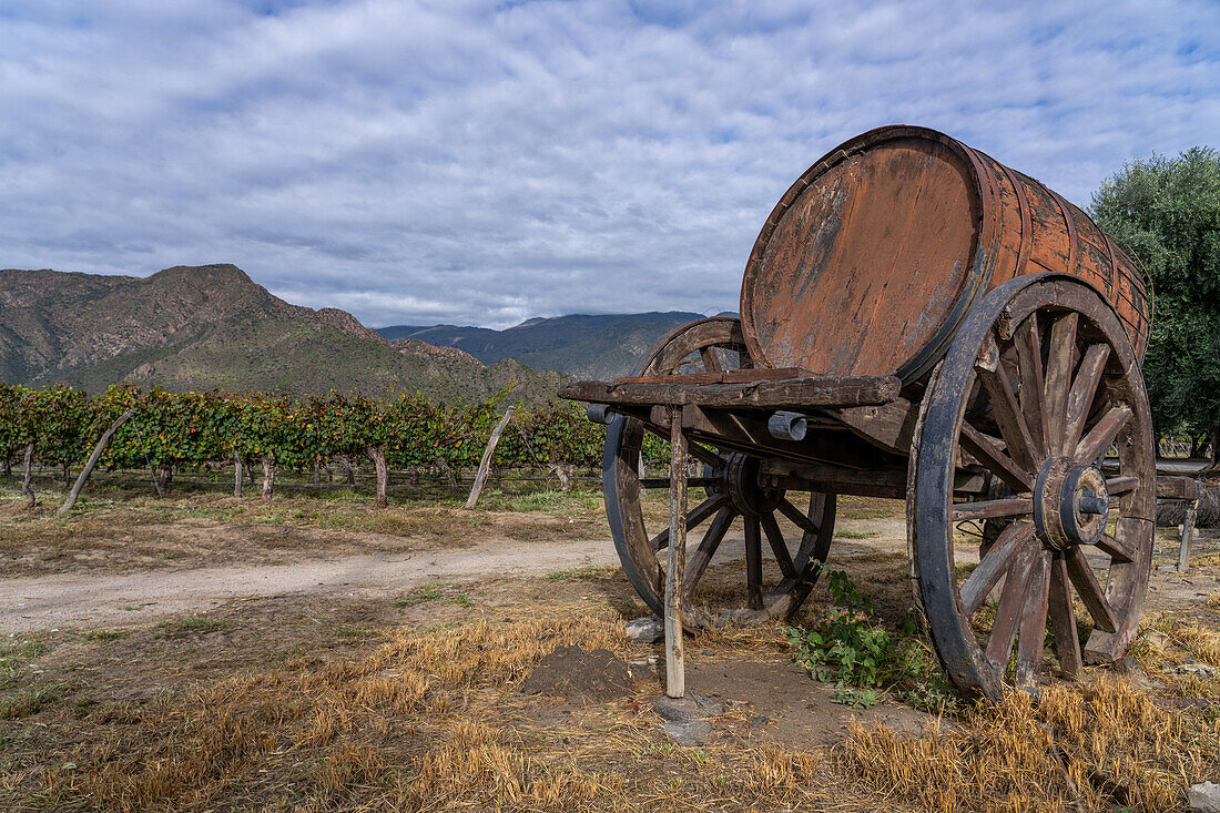 Ein antiker Weinwagen und ein Weinfass in der Weinkellerei Finca El Recreo in Cafayate, Argentinien