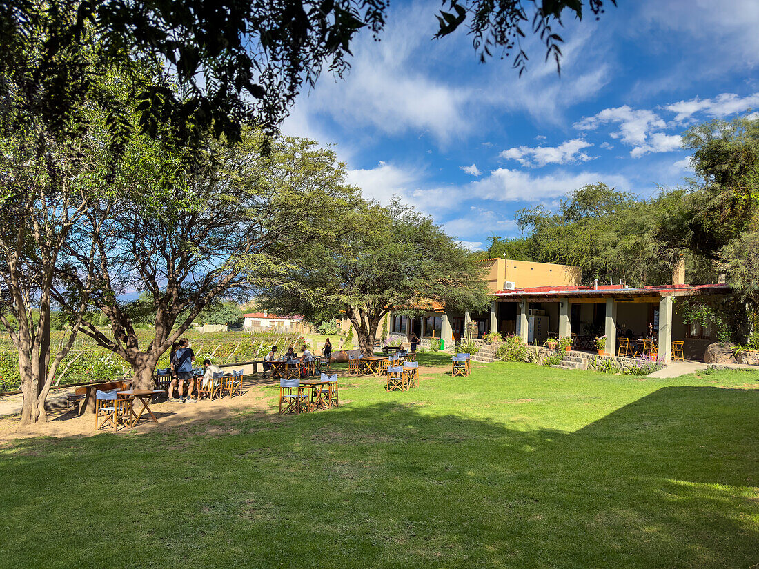 Besucher beim Mittagessen in der Bodega und Finca las Nubes, einem Weingut und Weinberg in der Nähe von Cafayate, Argentinien