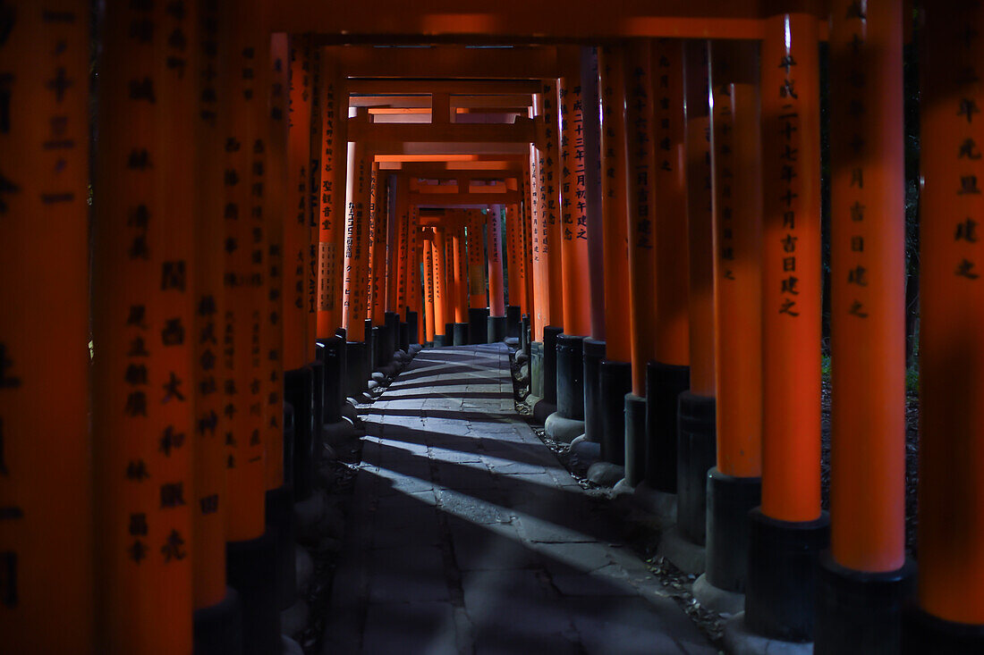 Erkundung des Fushimi Inari Taisha-Tempels bei Nacht, Kyoto, Japan