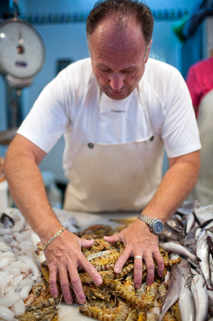 Seville, Spain, Aug 7 2008, A fishmonger arranges freshly caught seafood at his stall in Sanlucar de Barramedas bustling market.