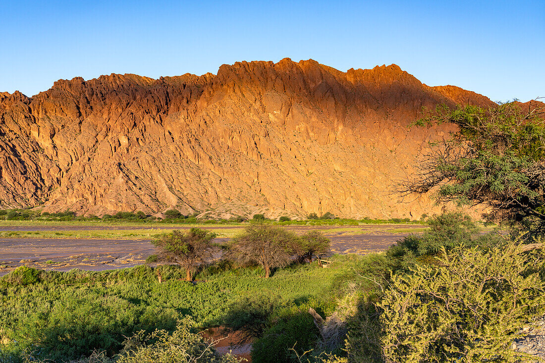 Feuchtgebiete entlang des Calchaqui-Flusses im Licht des Sonnenuntergangs im Calchaqui-Tal in der Provinz Salta, Argentinien