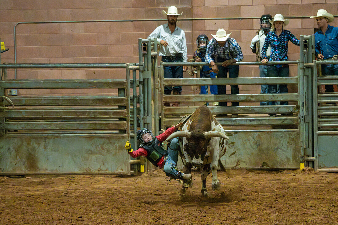 A young cowboy gets bucked off a bucking steer at the Moab Junior Rodeo in Moab, Utah.