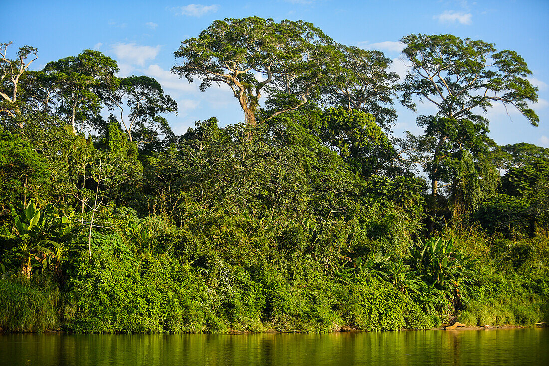 Don Diego River, Santa Marta, Colombia