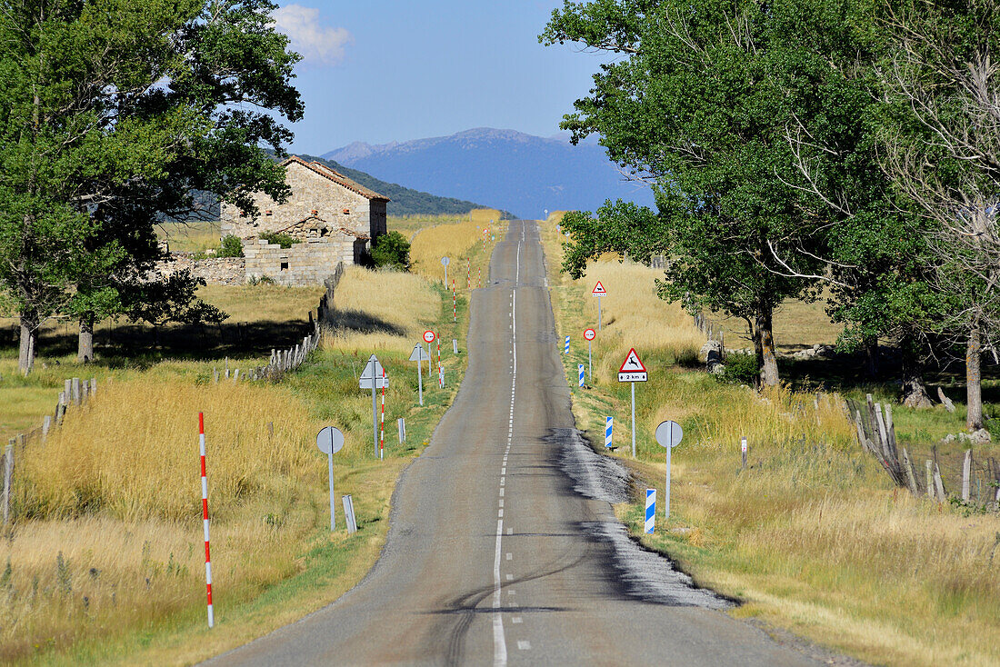 Sunny day on a secondary road in the province of Segovia.