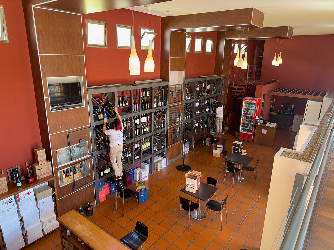 Workers stock shelves of local wines from Cafayate for sale in the shop in the Museo de la Vid y el Vino in Cafayate, Argentina.