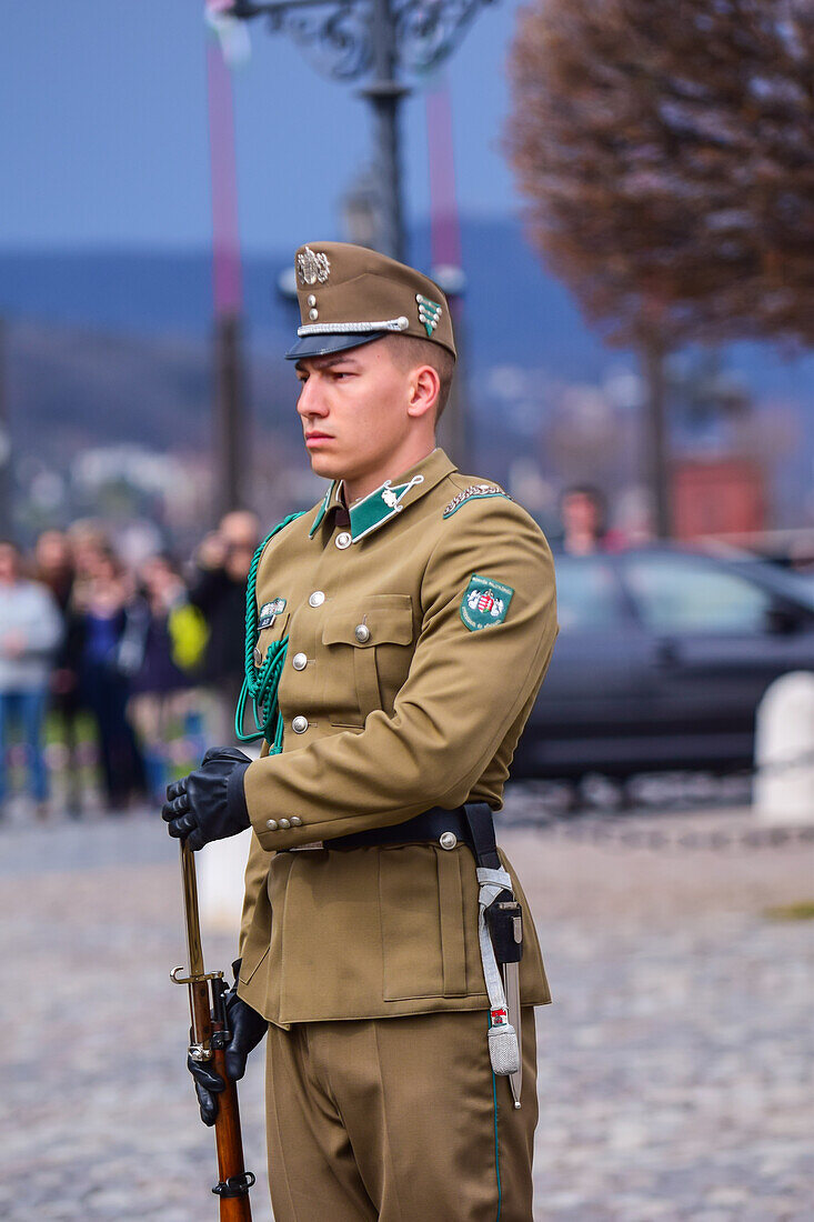 Changing of the Guard in Sandor Palace of Budapest, Hungary