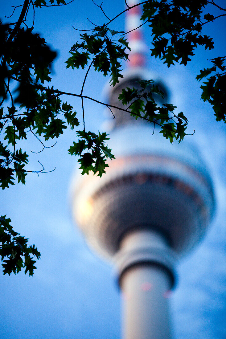 Green tree branches gently surround the Fernsehturm, Berlin\'s iconic tower, set against a bright blue sky.