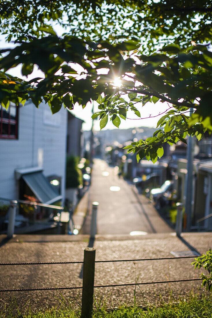 Philosopher's Walk in Kyoto, Japan