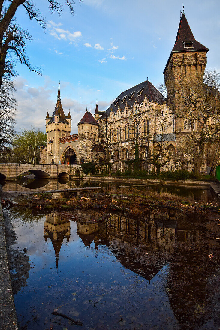 Die Burg Vajdahunyad spiegelt sich auf dem Wasser, Budapest, Ungarn