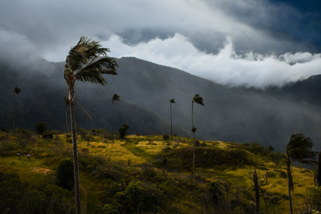 Blick bei Sonnenaufgang auf die Sierra Nevada de Santa Marta, Berge, einschließlich Cerro Kennedy, auch bekannt als "la Cuchillo de San Lorenzo", Kolumbien