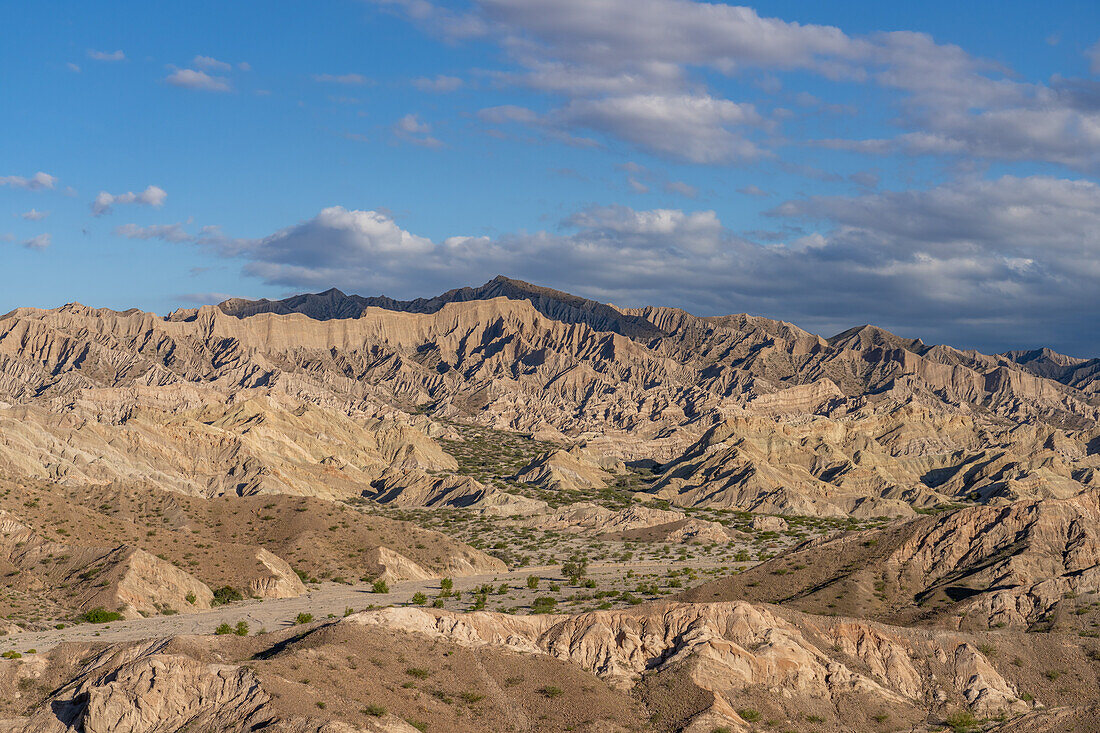 Route 40, an unpaved dirt road through the eroded landscape of the Angastaco Natural Monument in the Calchaqui Valley, Argentina.