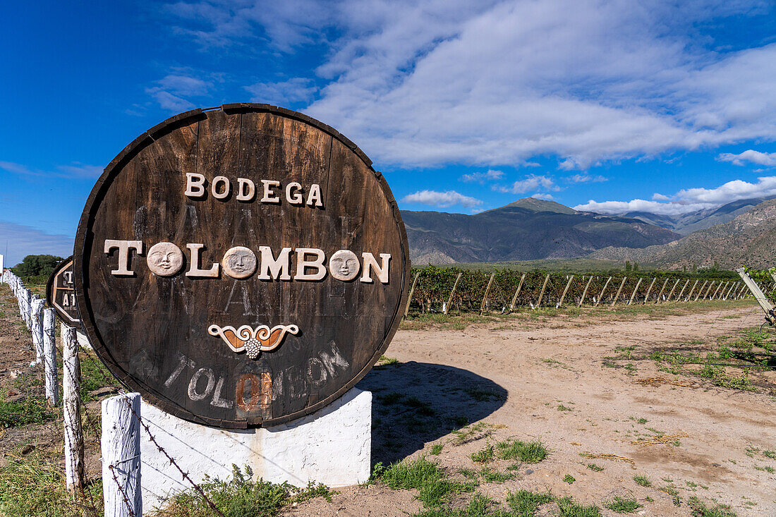 Decorated wine casks at the Bodega Tolombon winery and vineyard in Cafayate, Argentina.