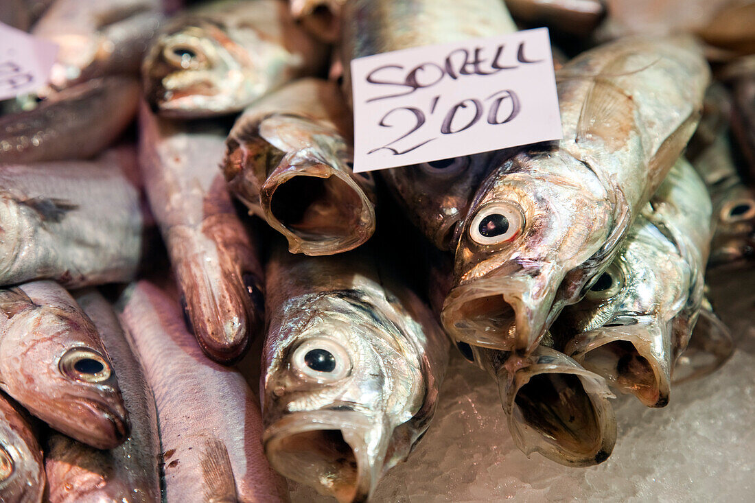 Frische Jureles werden auf dem belebten Mercado de San Antonio in Barcelona zum Verkauf angeboten und locken Einheimische und Besucher an