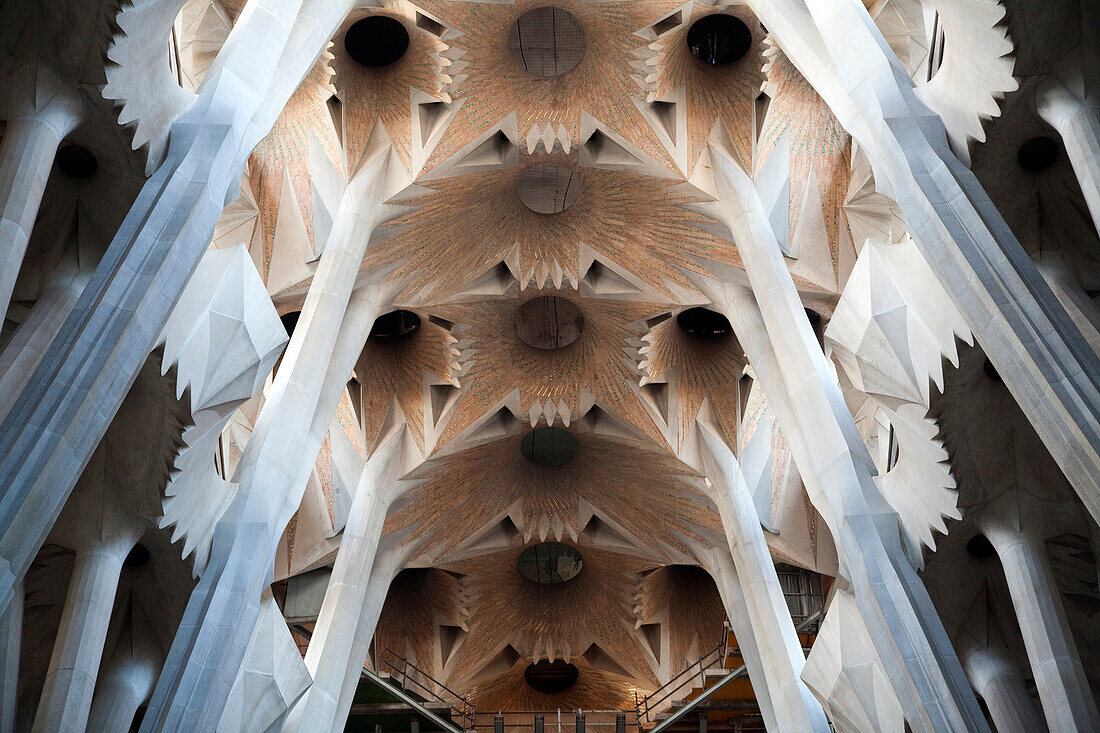 Barcelona, Spanien, 4. September 2008, Erkunden Sie das atemberaubende Innere der Sagrada Familia, die Gaudís einzigartige architektonische Vision in Barcelona zeigt