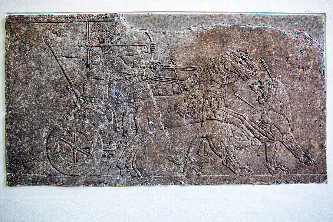 Berlin, Germany, July 24 2009, This relief depicts Ashurnasirpal II on a chariot, hunting a lion, highlighting his royal power and hunting prowess from the 9th century BC.