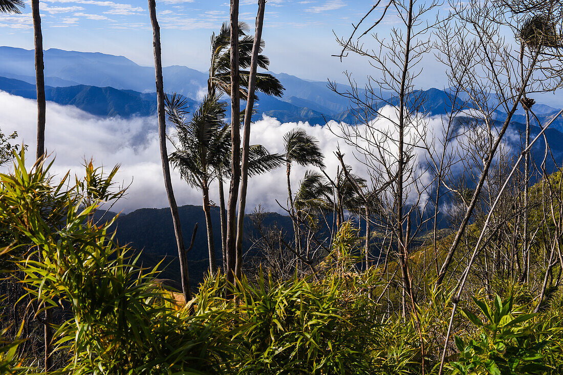 Blick bei Sonnenaufgang auf die Sierra Nevada de Santa Marta, Berge, einschließlich Cerro Kennedy, auch bekannt als "la Cuchillo de San Lorenzo", Kolumbien