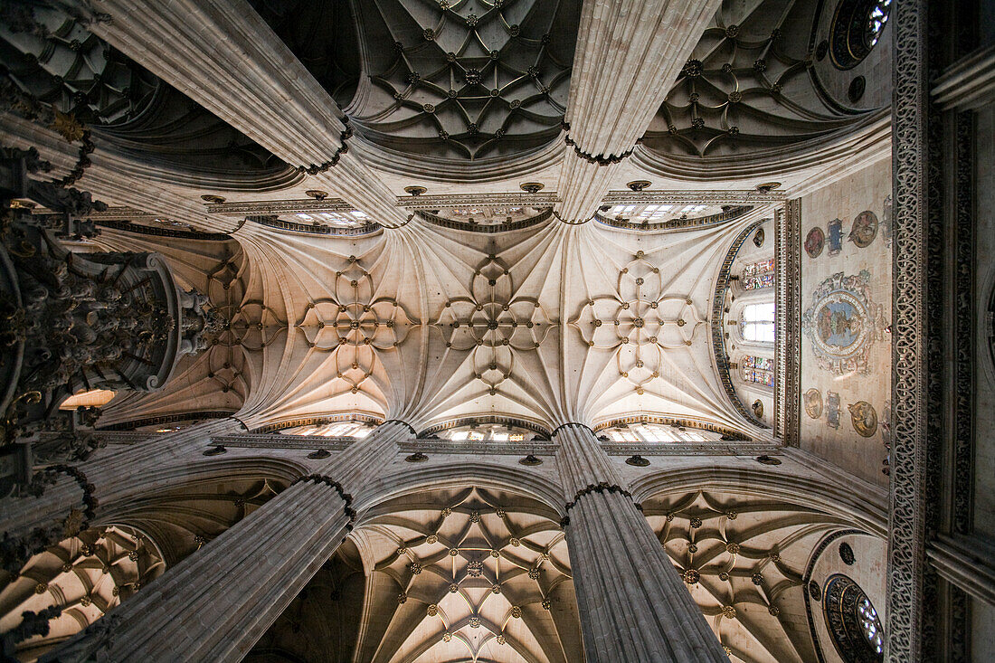 Salamanca, Spain, Aug 17 2008, The stunning vaulted ceilings and columns of the New Cathedral in Salamanca showcase remarkable Gothic architecture, inviting admiration.