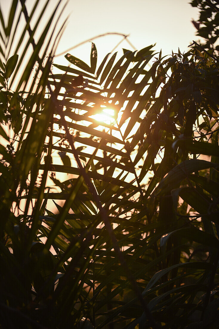 Sonnenuntergang in der Sierra Nevada de Santa Marta, Kolumbien