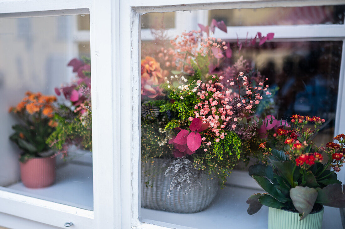 Flowers in house window, Prague