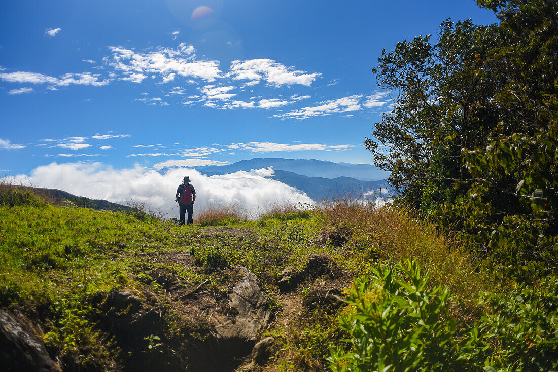 Young man hiking in the mountains of Sierra Nevada de Santa Marta, Colombia