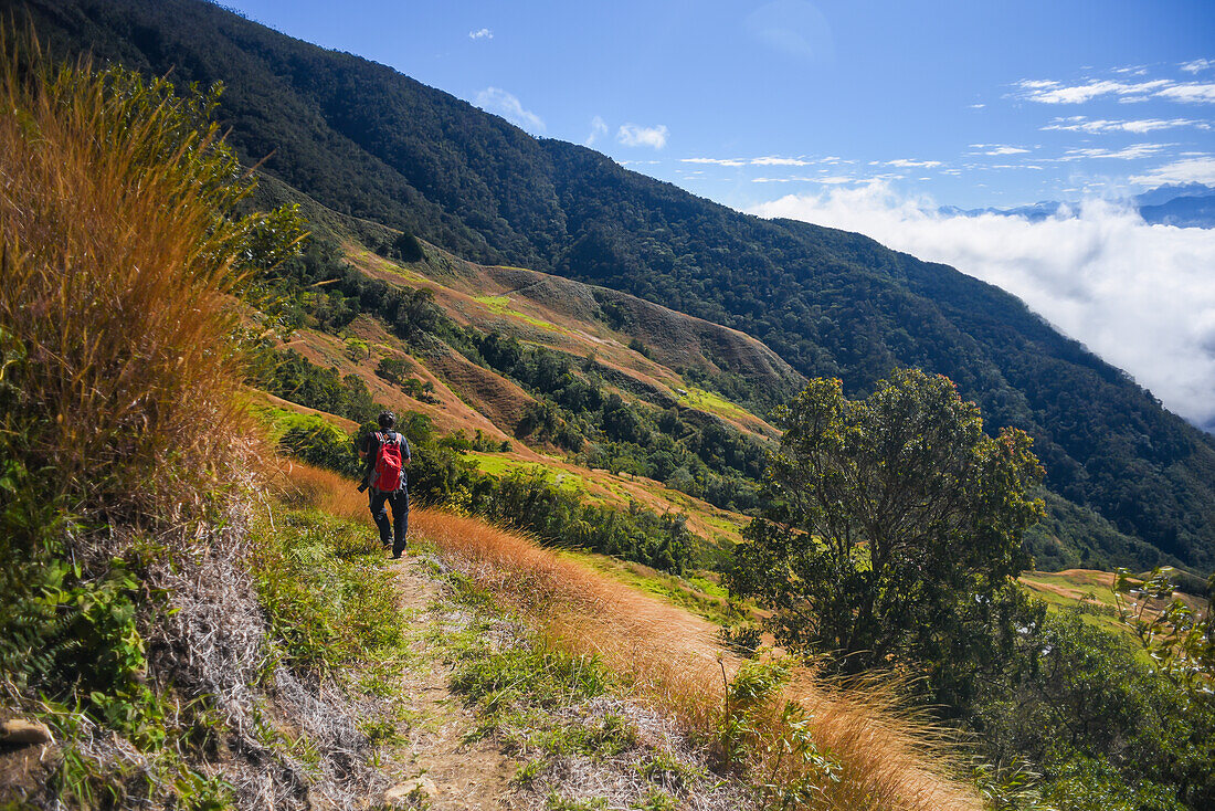 Junger Mann beim Wandern in den Bergen der Sierra Nevada de Santa Marta, Kolumbien