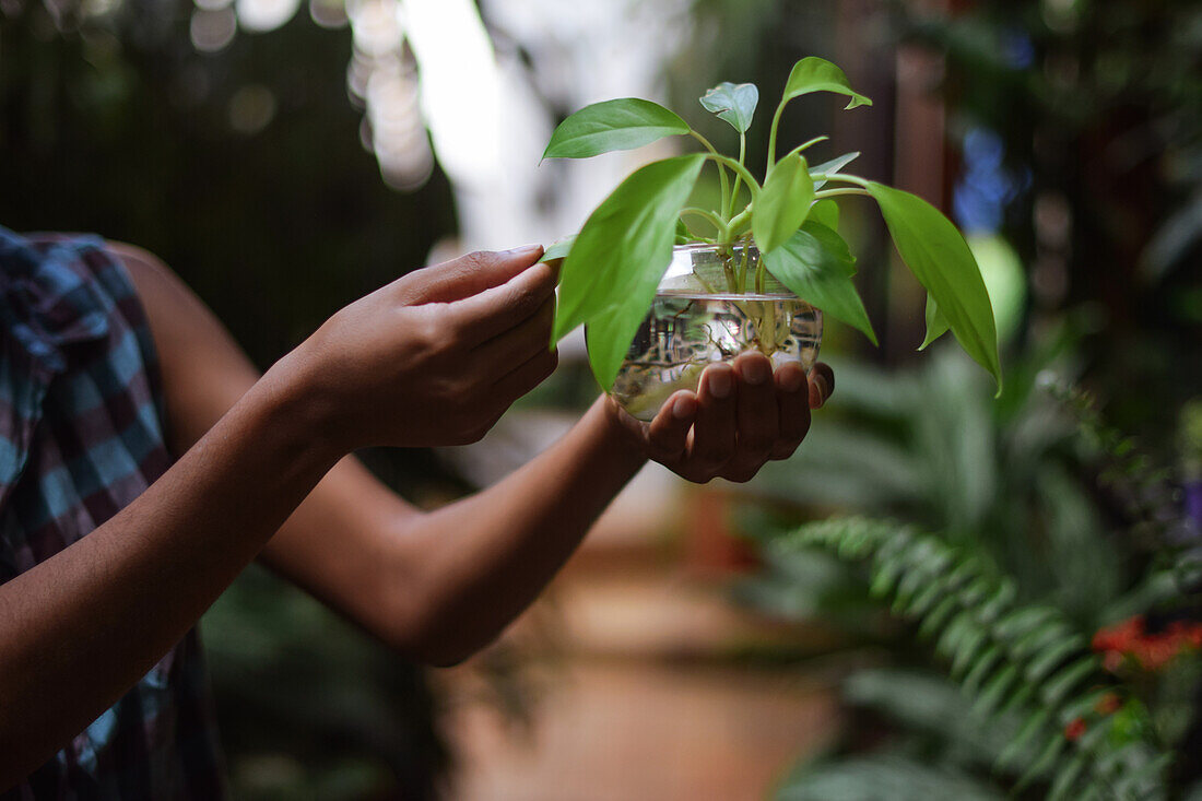 Young afro latin woman gardening and holding an hydroponic plant