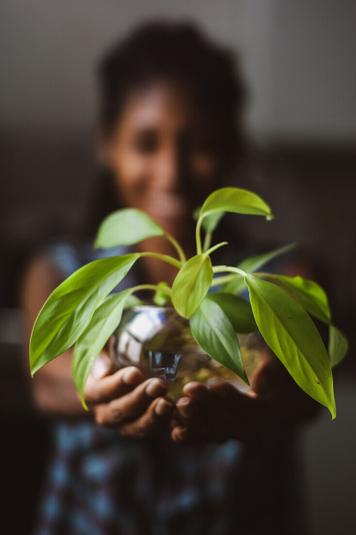 Young afro latin woman gardening and holding an hydroponic plant