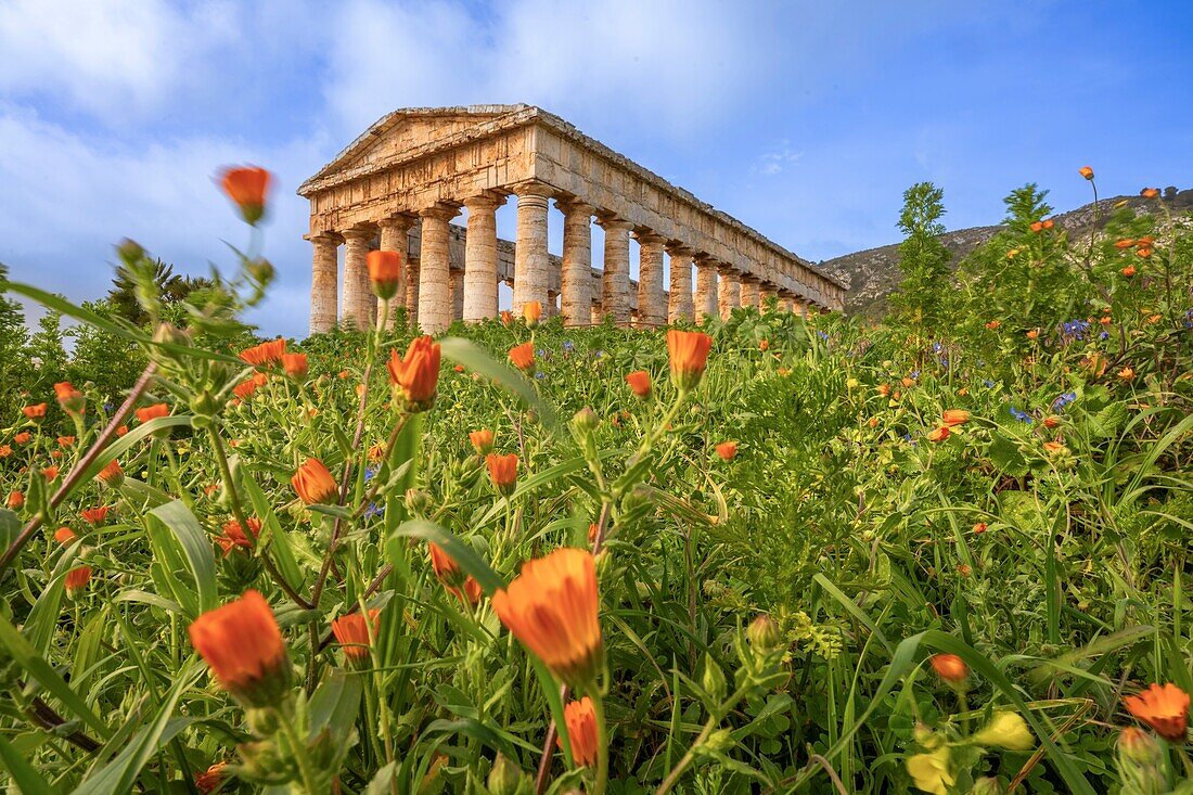 Doric temple, Segesta, Calatafimi, Trapani, Sicily, Italy, Mediterranean, Europe