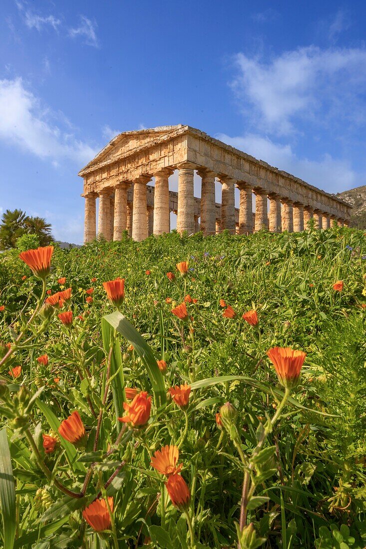 Doric temple, Segesta, Calatafimi, Trapani, Sicily, Italy, Mediterranean, Europe