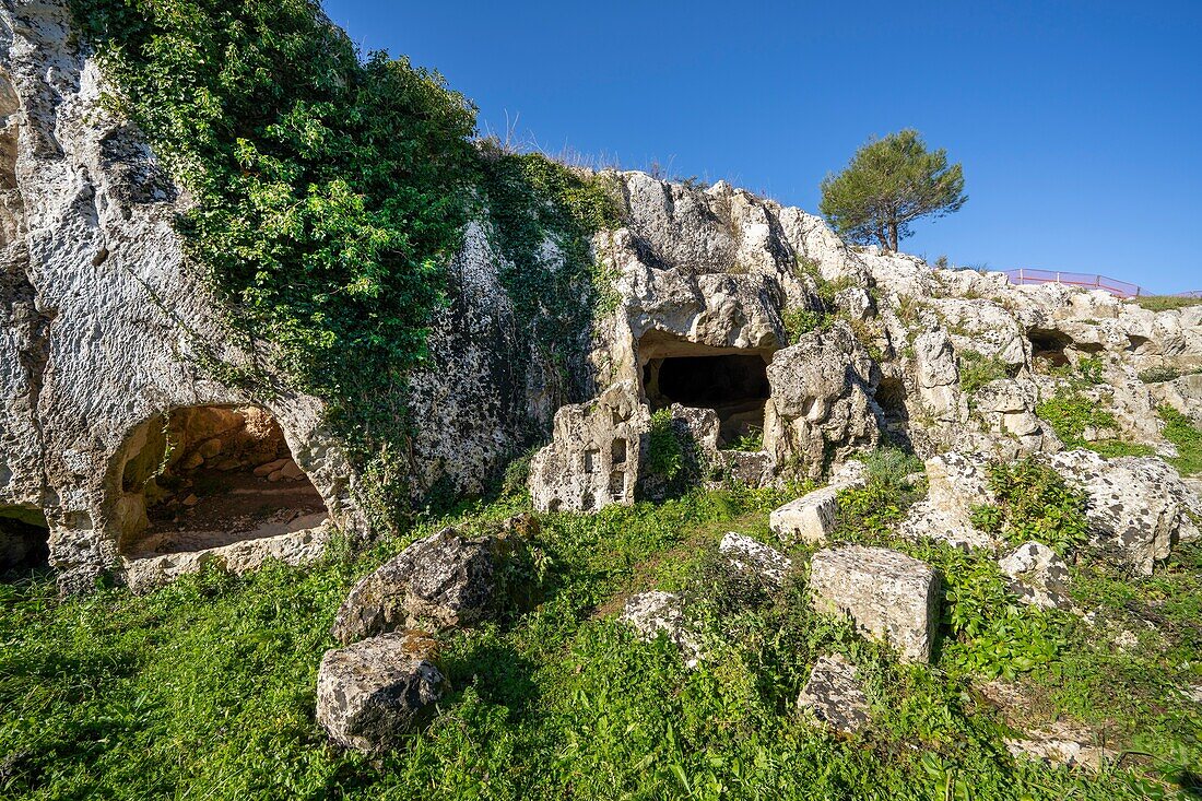 Archaeological area of Akrai, Palazzolo Acreide, Val di Noto, Siracusa, Sicily, Italy, Mediterranean, Europe